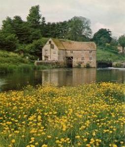 Downstream view, Sturminster Mill, Sturminster Newton