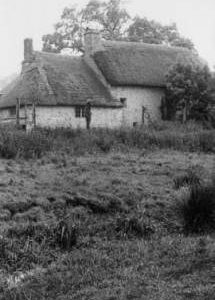 Puncknowle Mill, Puncknowle