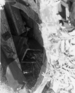 Poll end, Mortimer's Mill, Eye