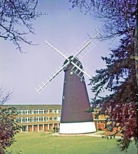 Shirley
