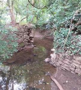 Site of Knights Mill, Bishops Caundle, looking at the main sluice from the downstream mill pond side