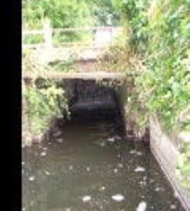 Mill stream, Calcot Mill