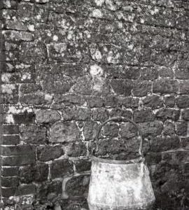 Madams Farm, Well, West Sussex
