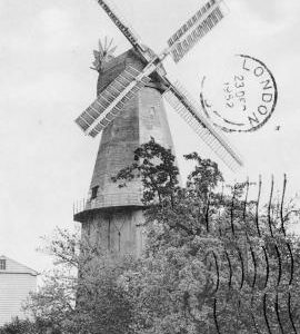 Cranbrook Union  Mill