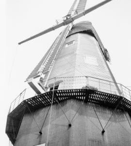 Cranbrook Union  Mill