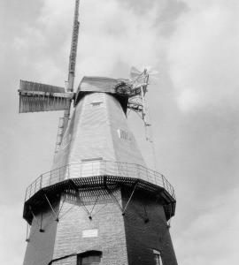Cranbrook Union  Mill