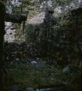 Hafod Las