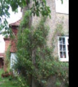 Shiplake Mill, Shiplake