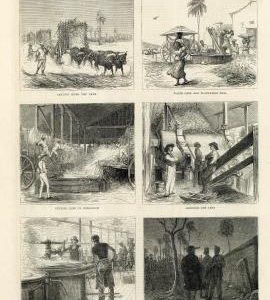 "A Visit to the West Indies-The Manufacture of Sugar-II"