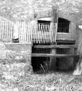 New Mill, Fazeley - arch on head side of turbine