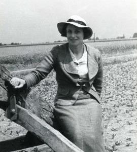 Enid Wailes