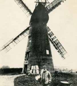 Reed Mill