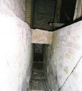 Quy, Cambs