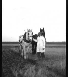 Farmer ploughing with two horses