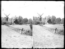 Two prints of exterior view of tower mill and woman tending field